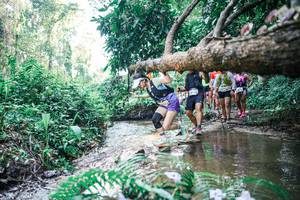 BIB: 
                            <button type="button" onclick="openModal(25462166)" class="btn btn-primary btn-sm float-right btn-popup" data-toggle="modal" data-target=".modal-high-quality">
                        <i class="fas fa-shopping-cart"></i> Add to Cart
                    </button>
                                            <button type="button" onclick="isThisMe(25462166, true)" class="btn btn-success btn-sm float-right btn-popup btn-isme hidden" data-toggle="tooltip" data-placement="bottom" title="นี่คือรูปของคุณใช่ไหม คลิกที่นี่เพื่อเอาเข้าอัลบั้ม">
                        <i class="fas fa-plus"></i> Add to album
                    </button>
                    <button type="button" onclick="isThisMe(25462166, false)" class="btn btn-warning btn-sm float-right btn-popup btn-isnotme hidden">
                        <i class="fas fa-ban"></i> Remove from album
                    </button>